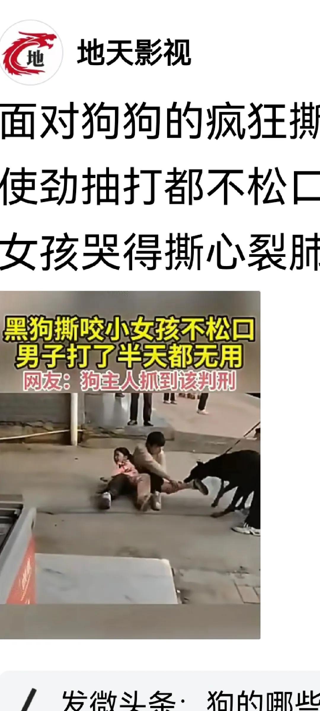 禁养烈性犬,你赞同还是反对?只要是个人都会赞同，除非他不是人才会反对。
养烈性犬