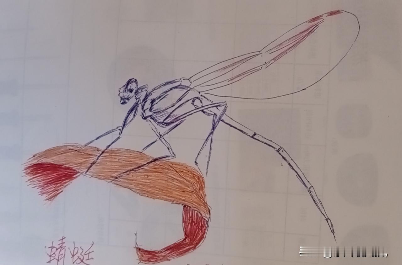 脑出血的凶险
今天家乡小镇有一位岁数不大的人走了，大家都感觉挺可惜的，因为他才3