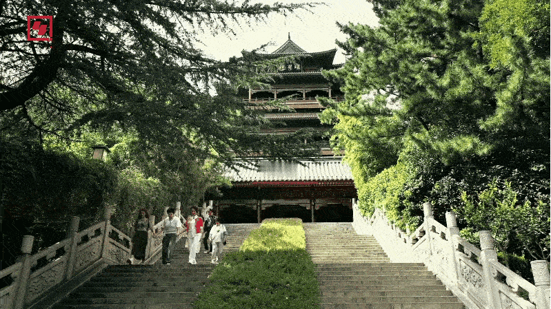 感受到欢乐气氛了！央视主持人组成“花开团”，“给岁月以芬芳的年轮，给梦想以破土的