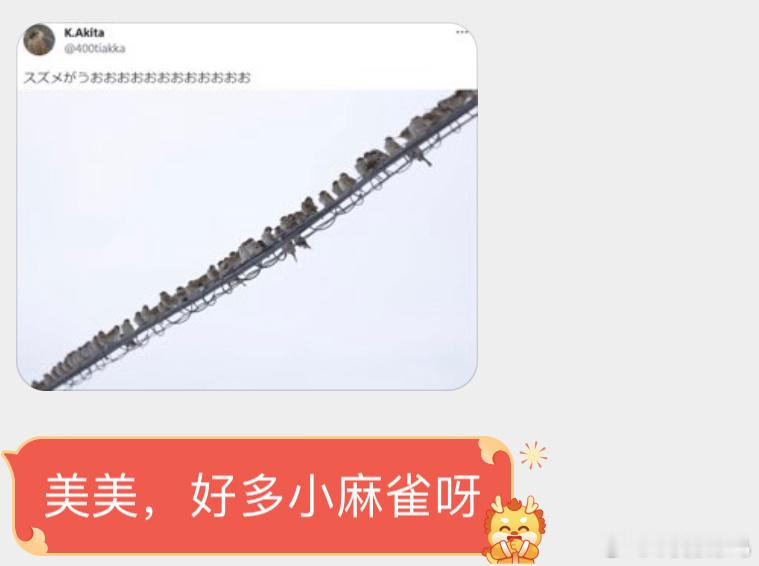 窗外的麻雀在电线杆上开会！ ​​​