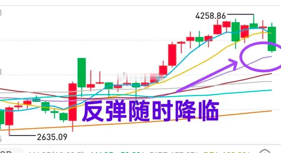 A股：大盘会不会跌破3700点，已经不重要了。下半年也不要去想4200点的事了，