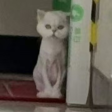 简直是万能表情包啊 