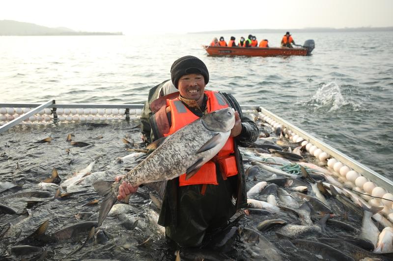 你问我答 淡水鱼和海水鱼哪个更有营养，不能一概而论。海水鱼如三文鱼、鲭鱼，富含对