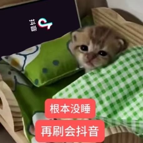 求求老己了 怎么越有事越睡不着了 这个年纪还有春游综合症像话吗 