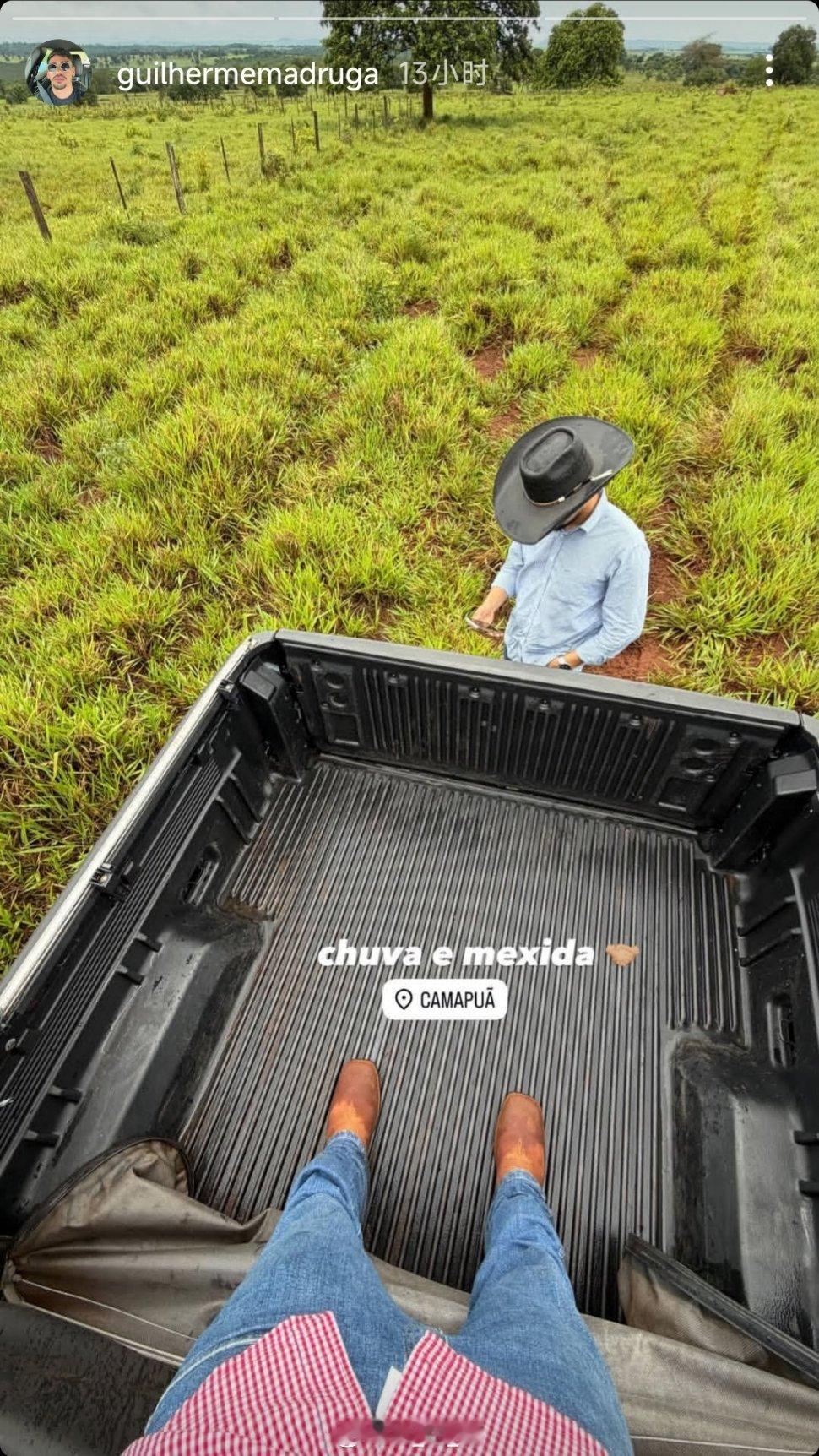 巴西农场主上线自由橙山东泰山