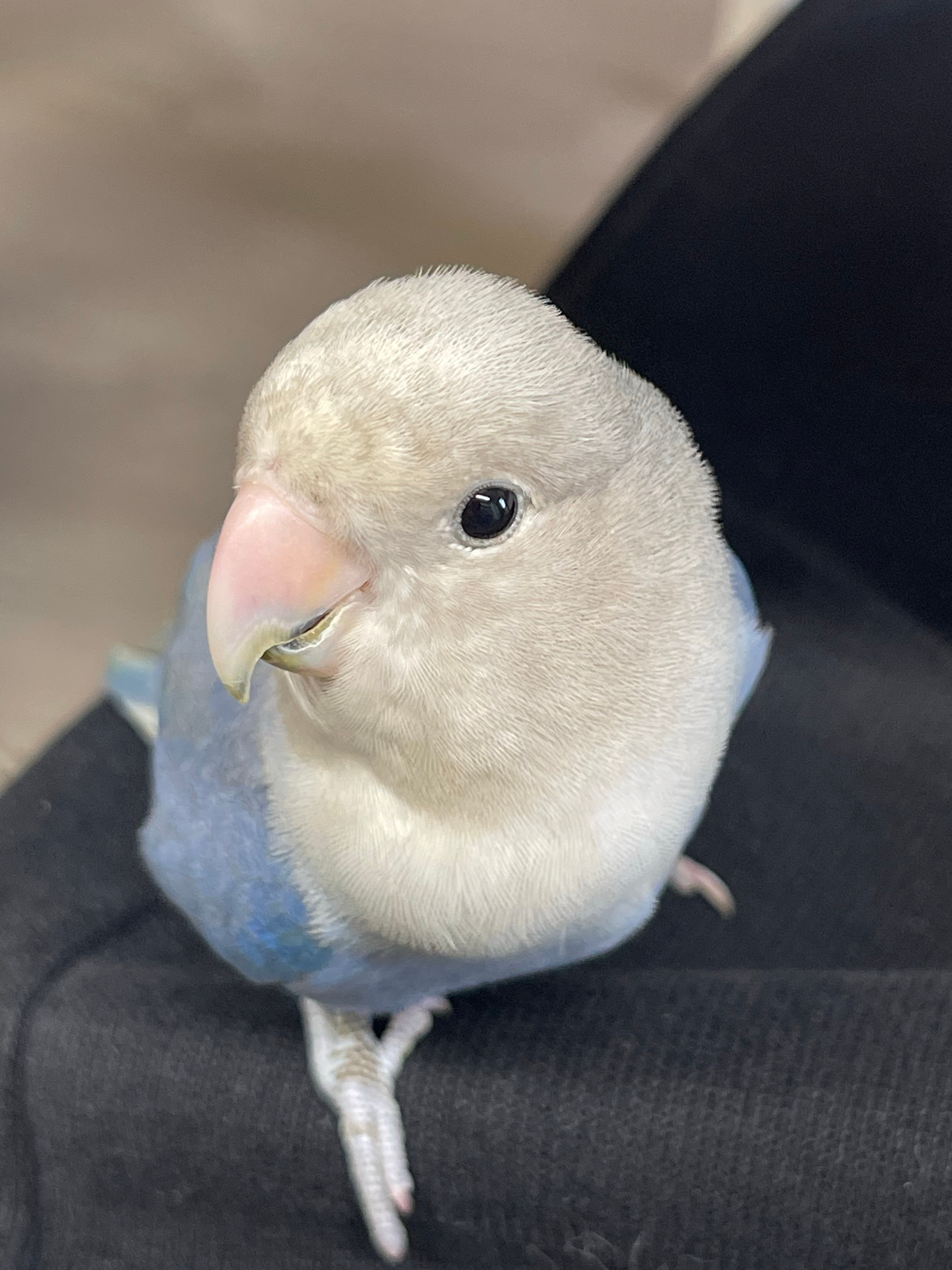 2026春节放9天假ber。。这有什么值得讨论的？我们公司。。过年放假都是半个月