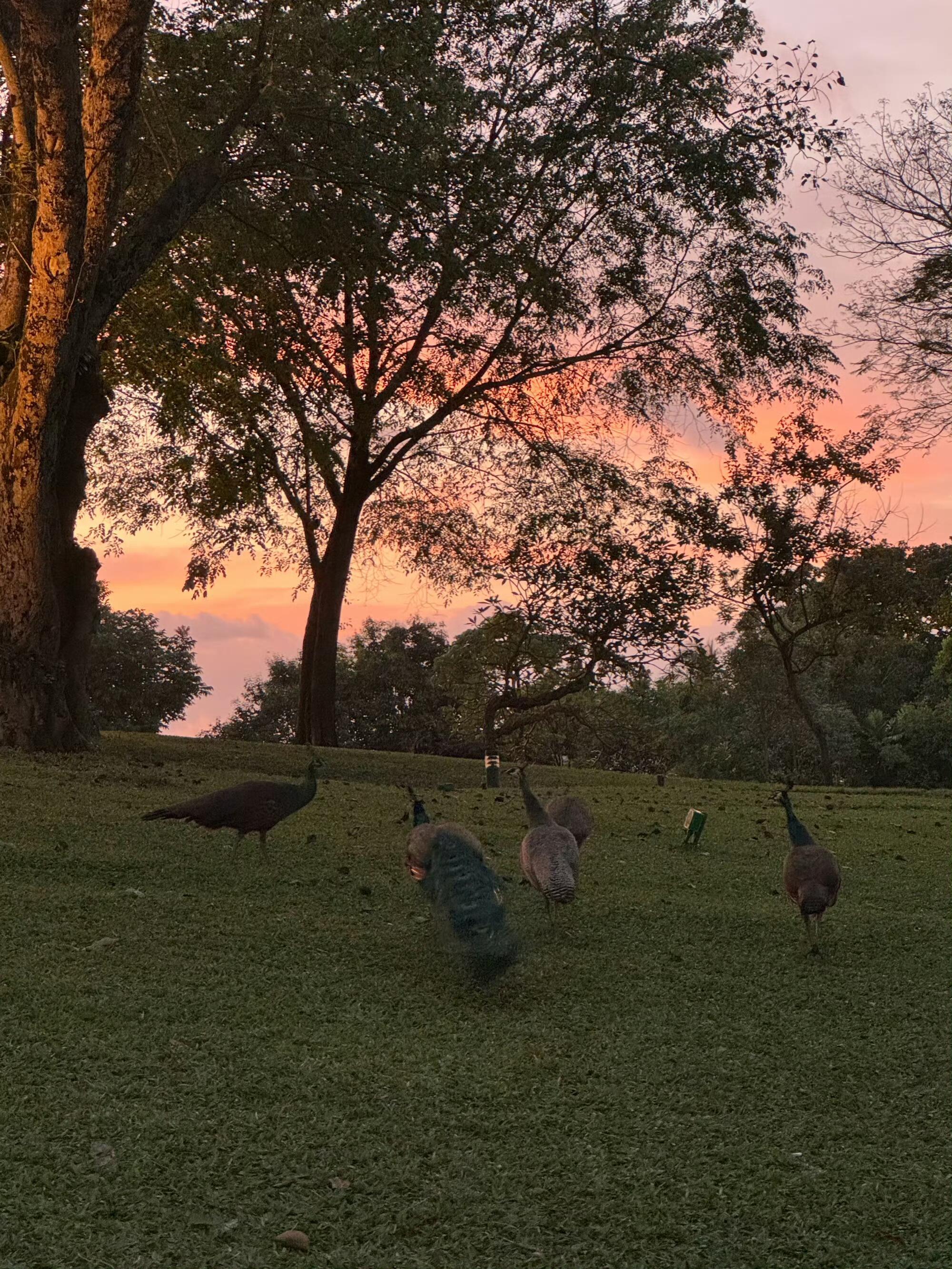 来自鱼儿拍的风景照 