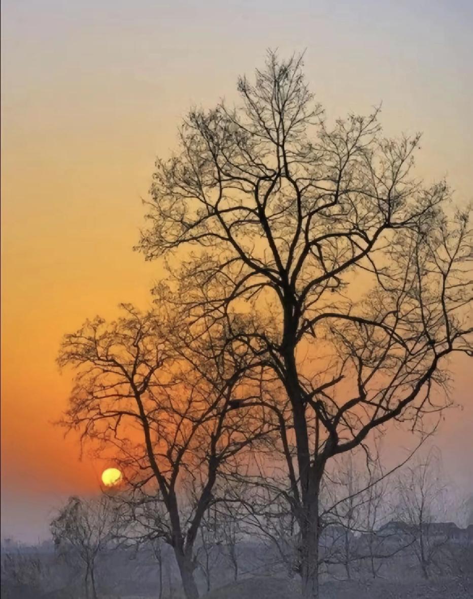 时光碾过2025的晨昏，将遗憾酿成成长的勋章，把收获叠成前行的行囊，这一年，不必