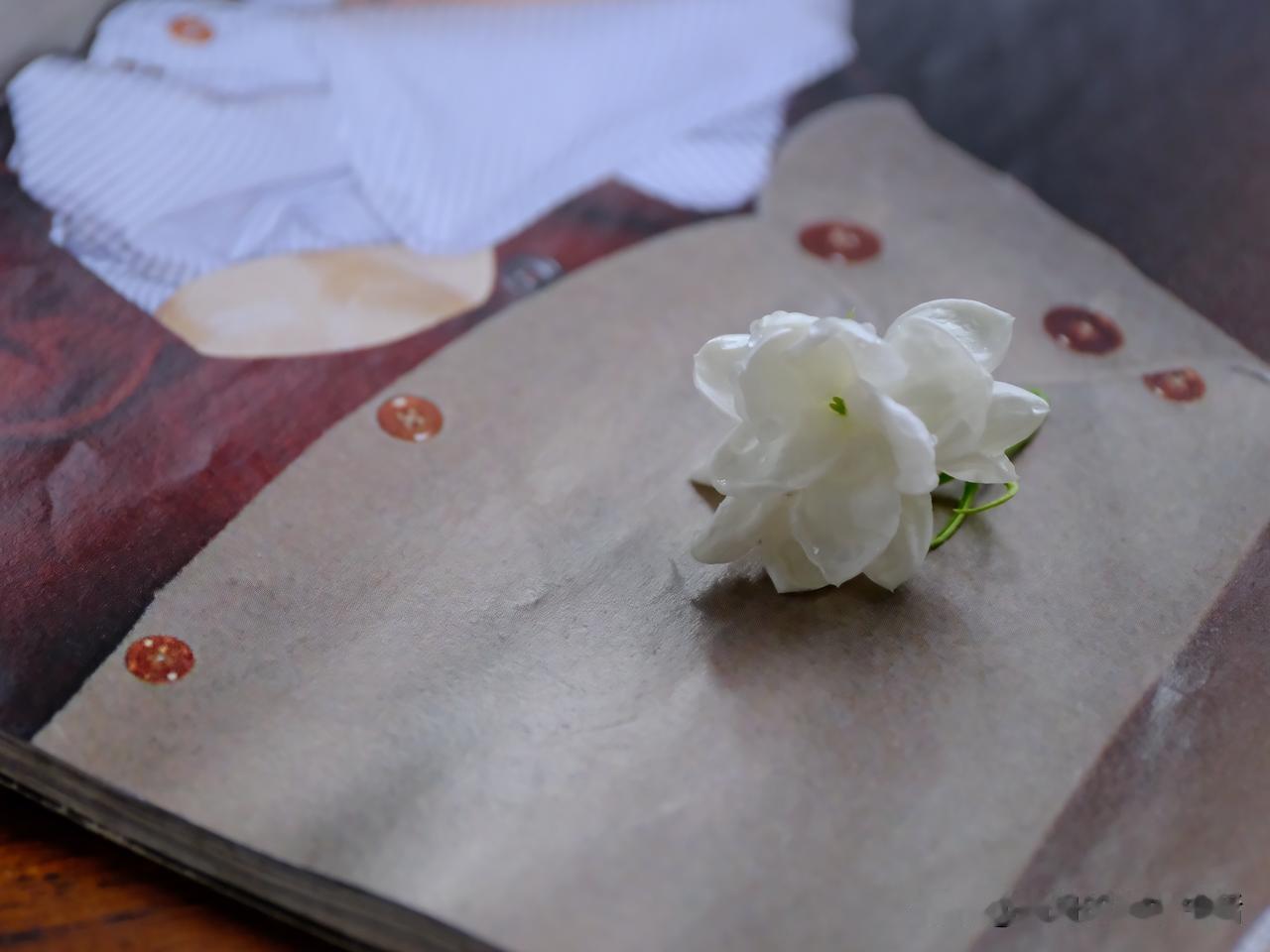一大早又一场大雨，花没搬，美其名曰，顺其自然。雨还在迷迷着，这下，花花们都耷拉着