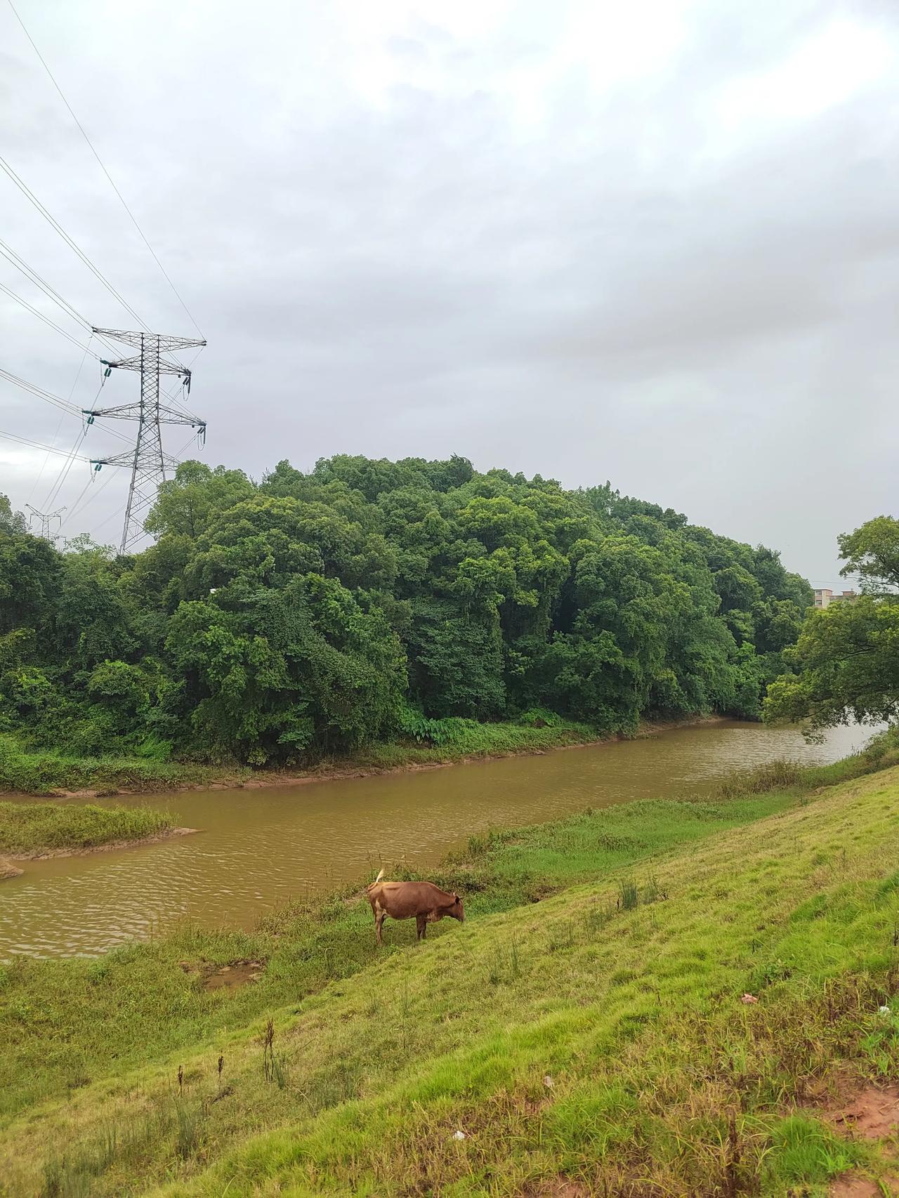 有些小河或水渠风景不错，但旁边的水产养殖场异味比较浓

关于标题所言，的确是一种