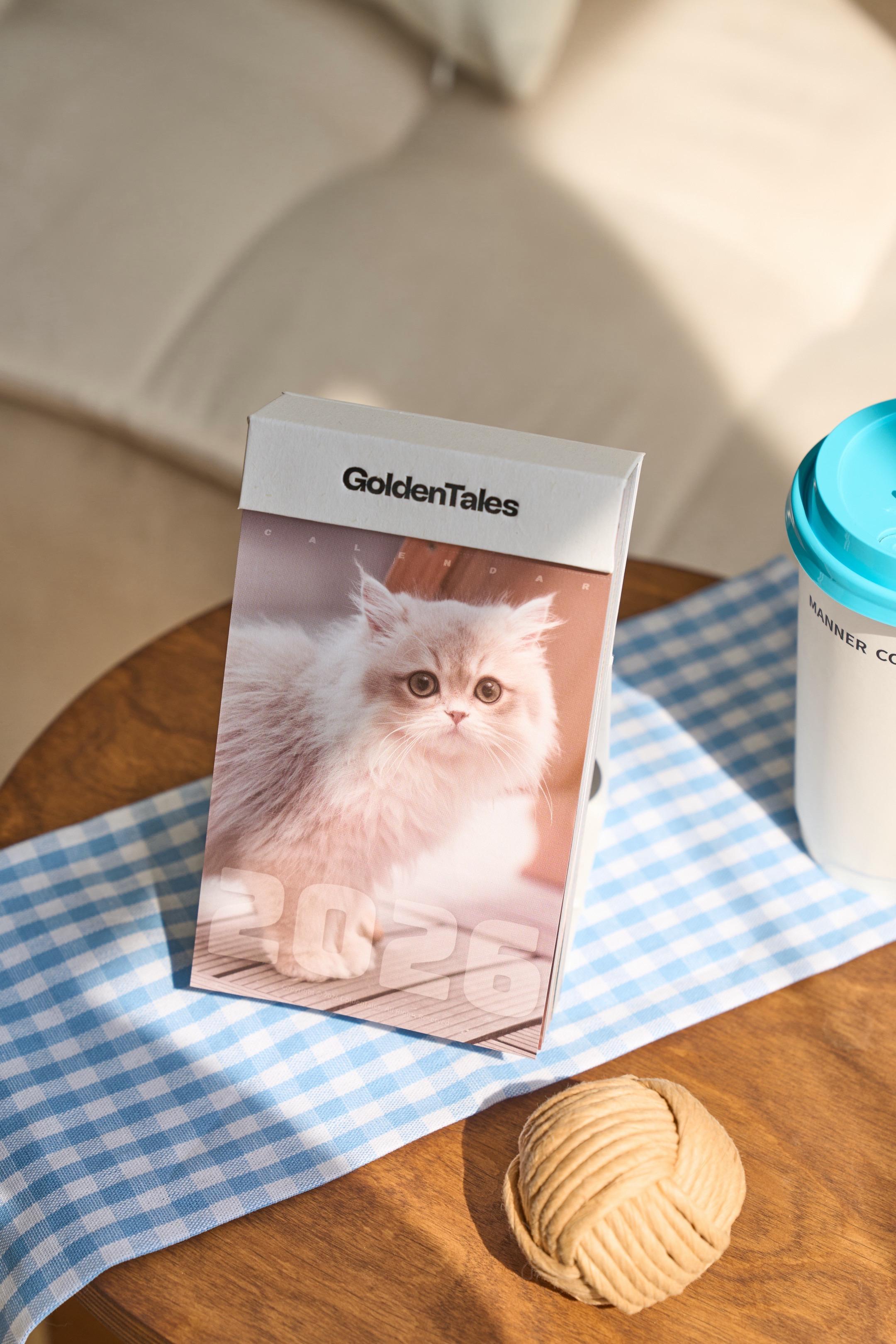 公司摄影师拍的好像是比我拍的好看一点啊。