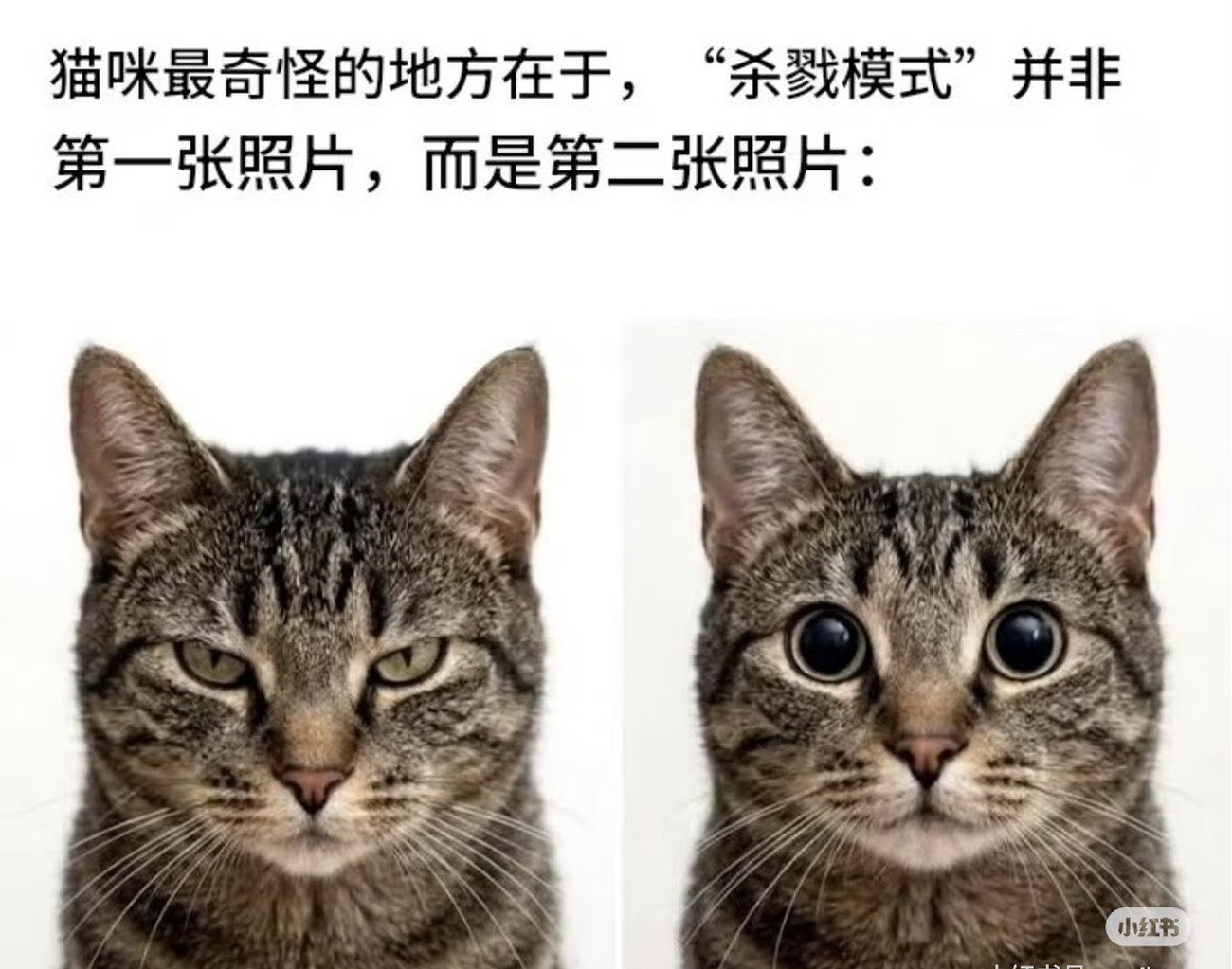 男鬼啊 