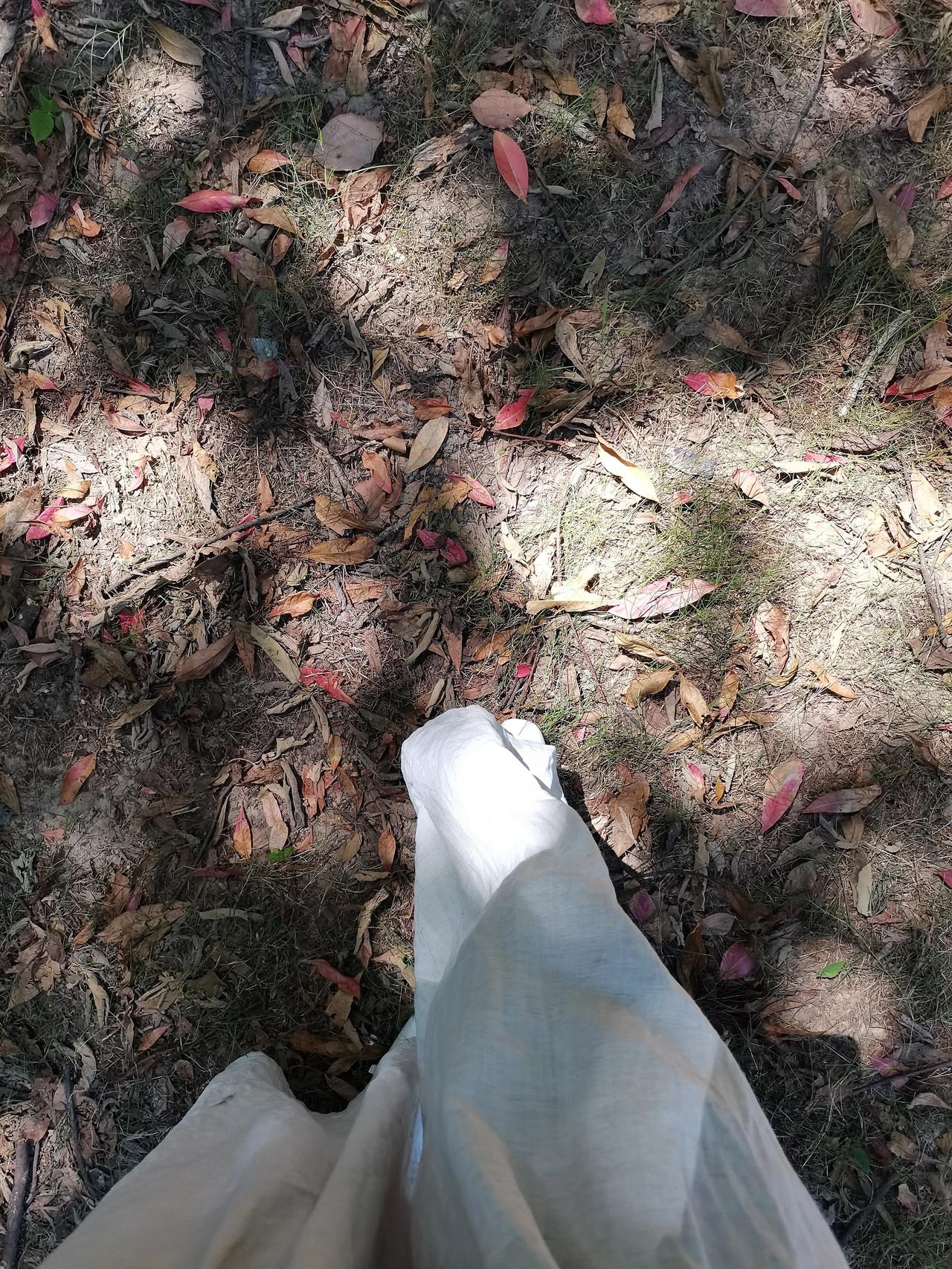 明天是我到小老板家工作的1周年，
这一年是整顿、平息和适应，
世俗上的进步几乎没