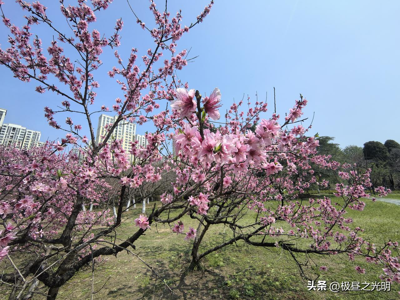 江山自古属闲人

有一日饭前几分钟闲聊，听到一位领导说，自家媳妇和他商量，“五一