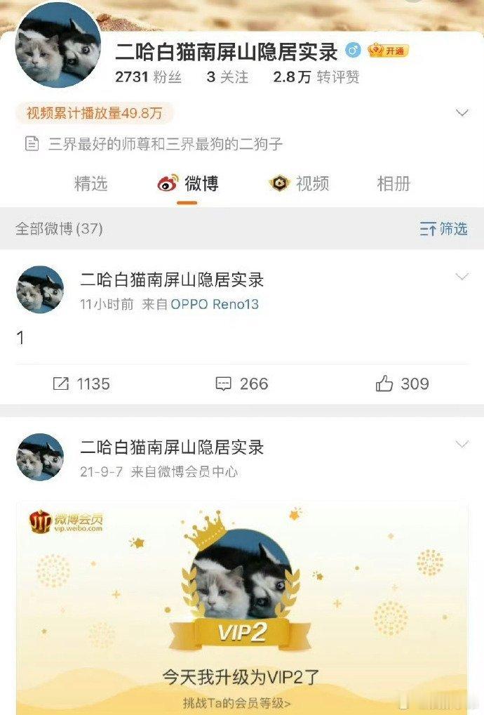 网传罗云熙的《皓衣行》要抬上来啦！罗云熙 ​​​
