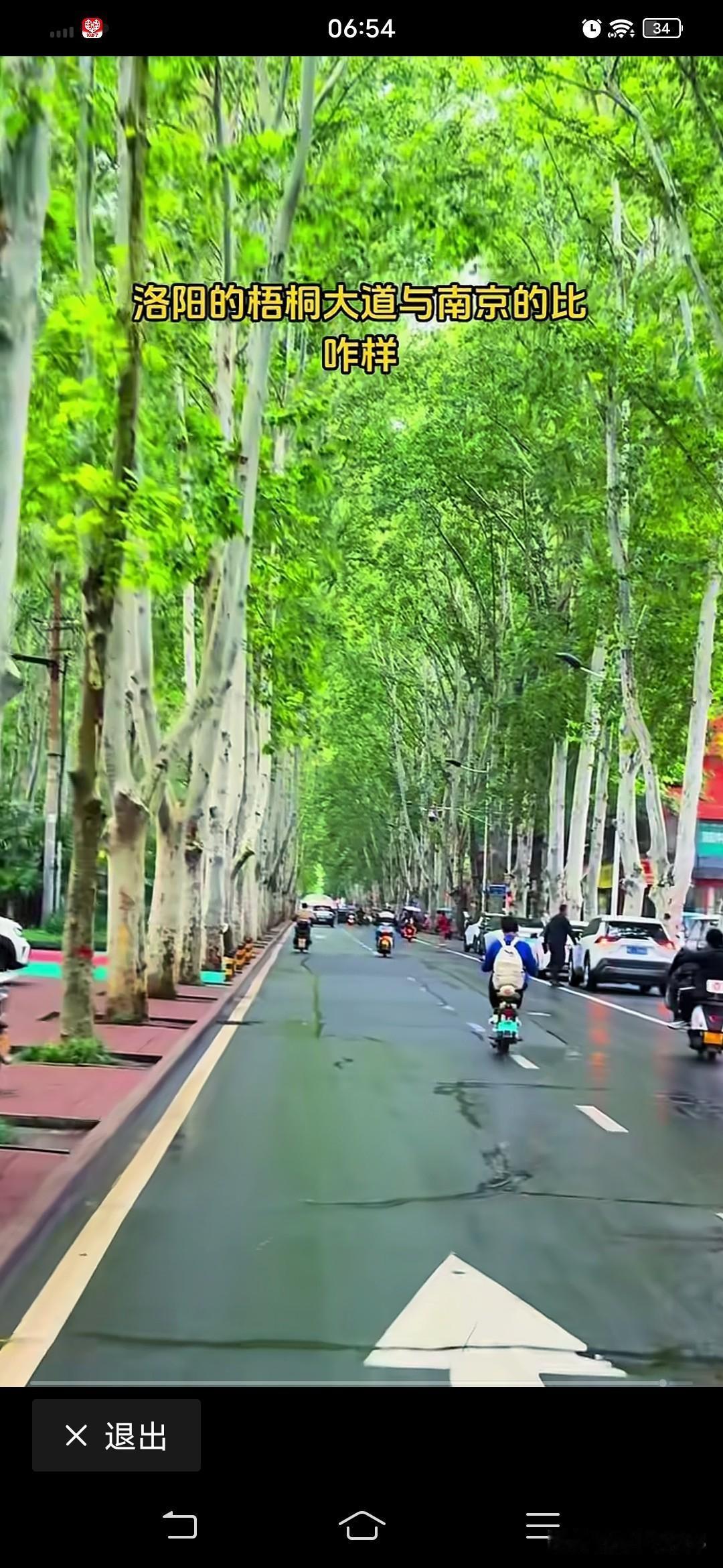 洛阳也有梧桐大道？

我就住在南京梧桐大道旁边，也拍了很多梧桐大道的视频和图片，