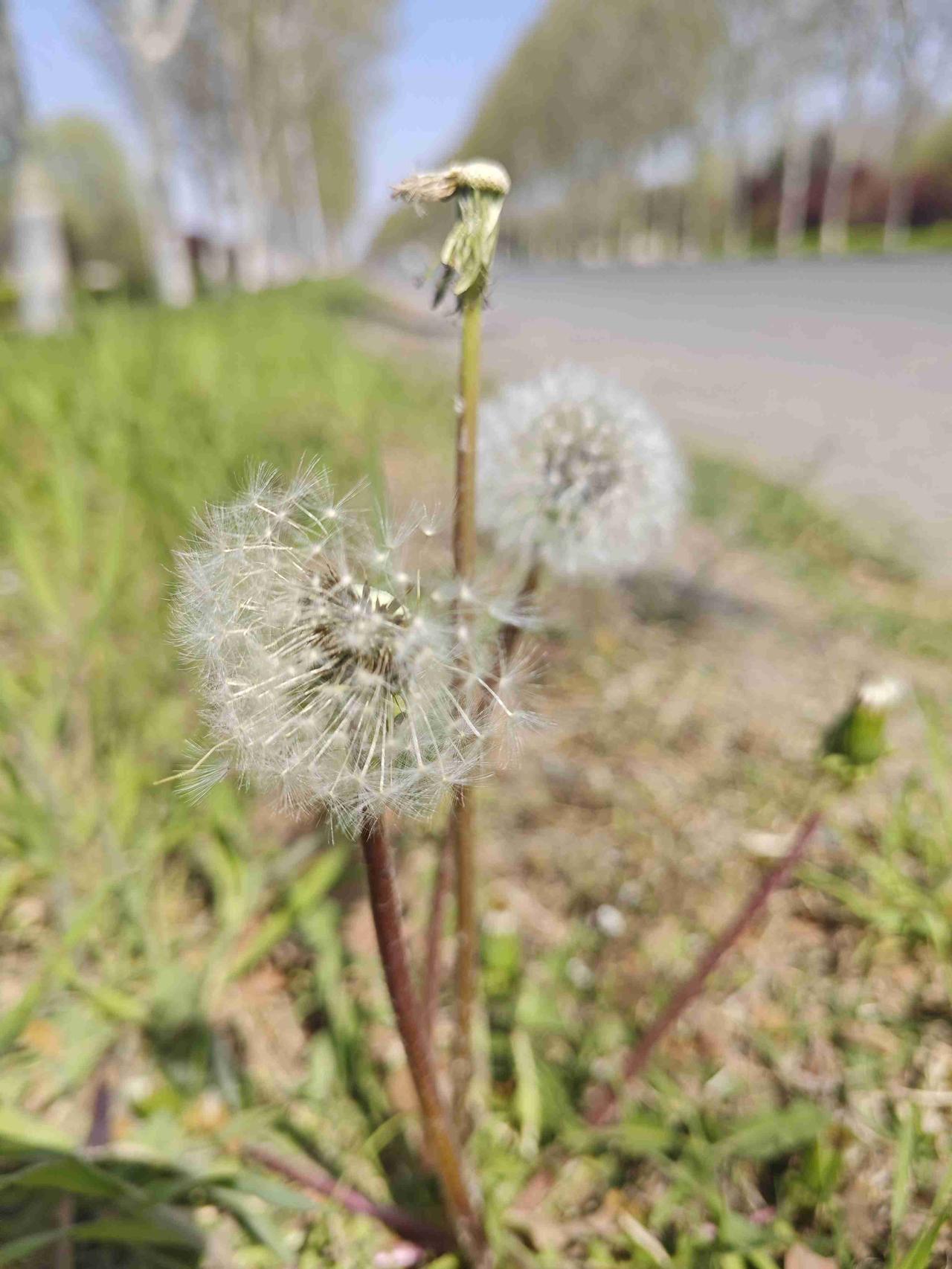 我的今日状态：😁轻松愉快
我这里的天气：☀️晴天
今天天气挺好，又是大周末，好
