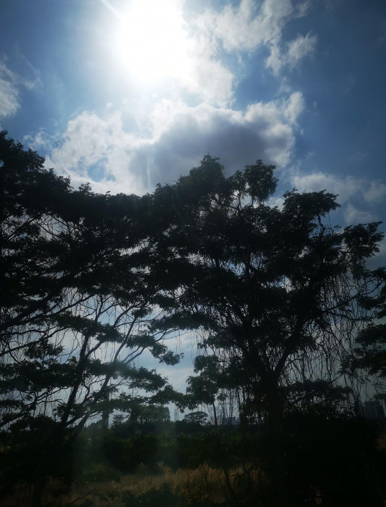 大年初一的天气
📍杭州 
0元玩转这座城今天的天气转化挺大，感觉挺有意思的[好