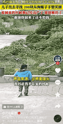 湖北一妈妈竟瞒着儿子
卖掉了怀孕快生的母狗！
这狗可是最懂事、最会看家，

还吃