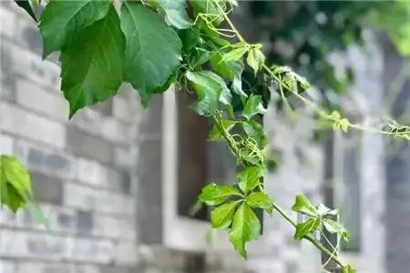 晒图笔记大赛人生犹如一首歌，音调高低起伏，旋律抑扬顿挫；人生仿佛一本书，写满了酸