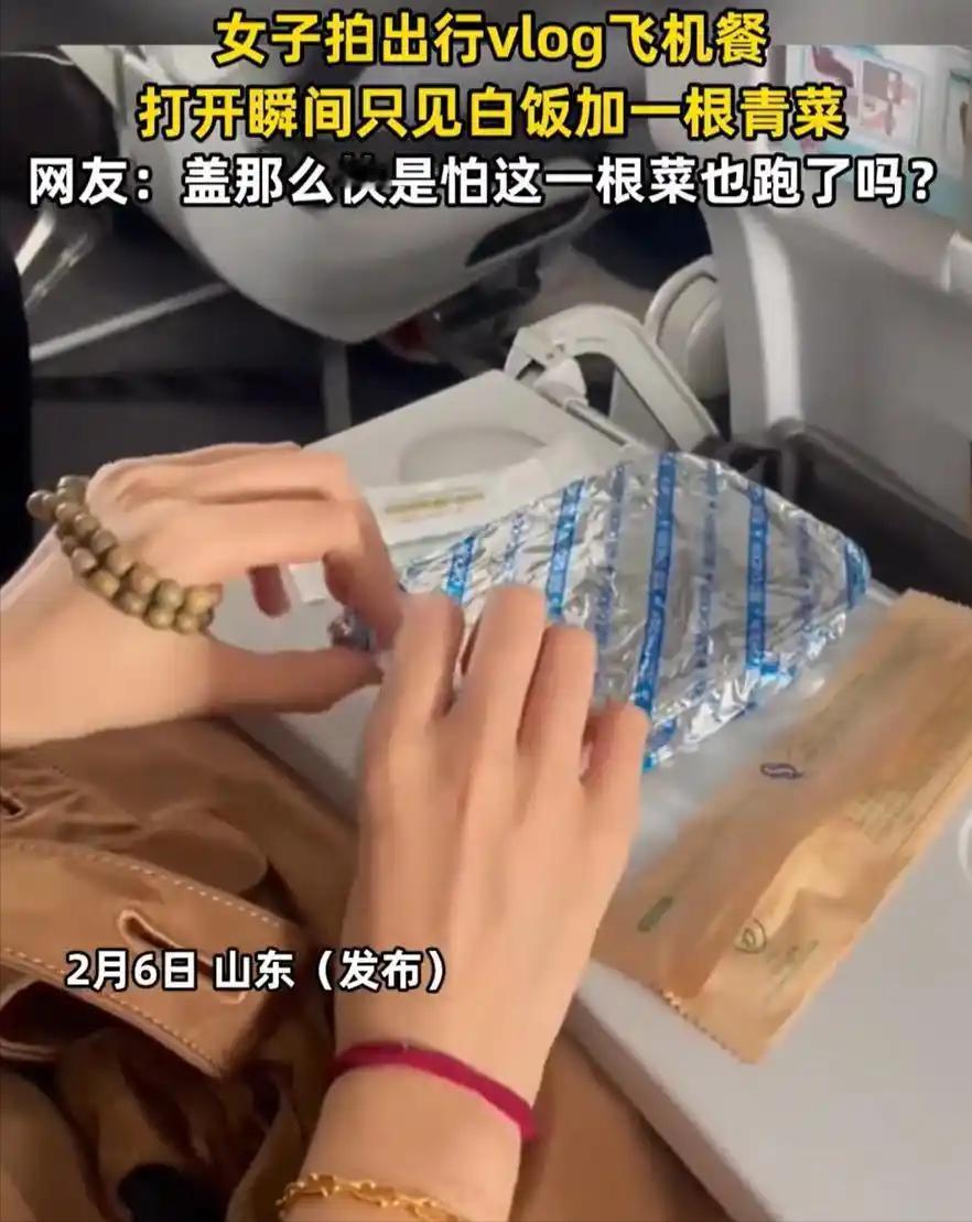 伤害性不高侮辱性极强！山东，一女子坐飞机出行，飞机起飞不久空姐就端上来飞机餐，万