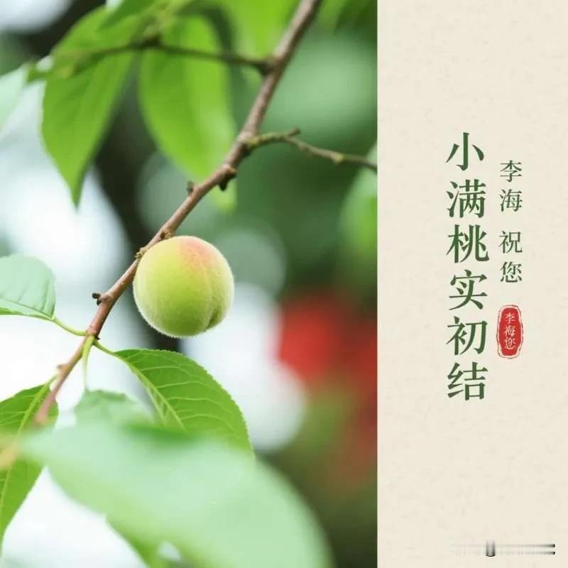 小满，是夏的开始，是岁月的温柔。愿您带着心中怀揣阳光，去拥抱每一个平凡的日子，让