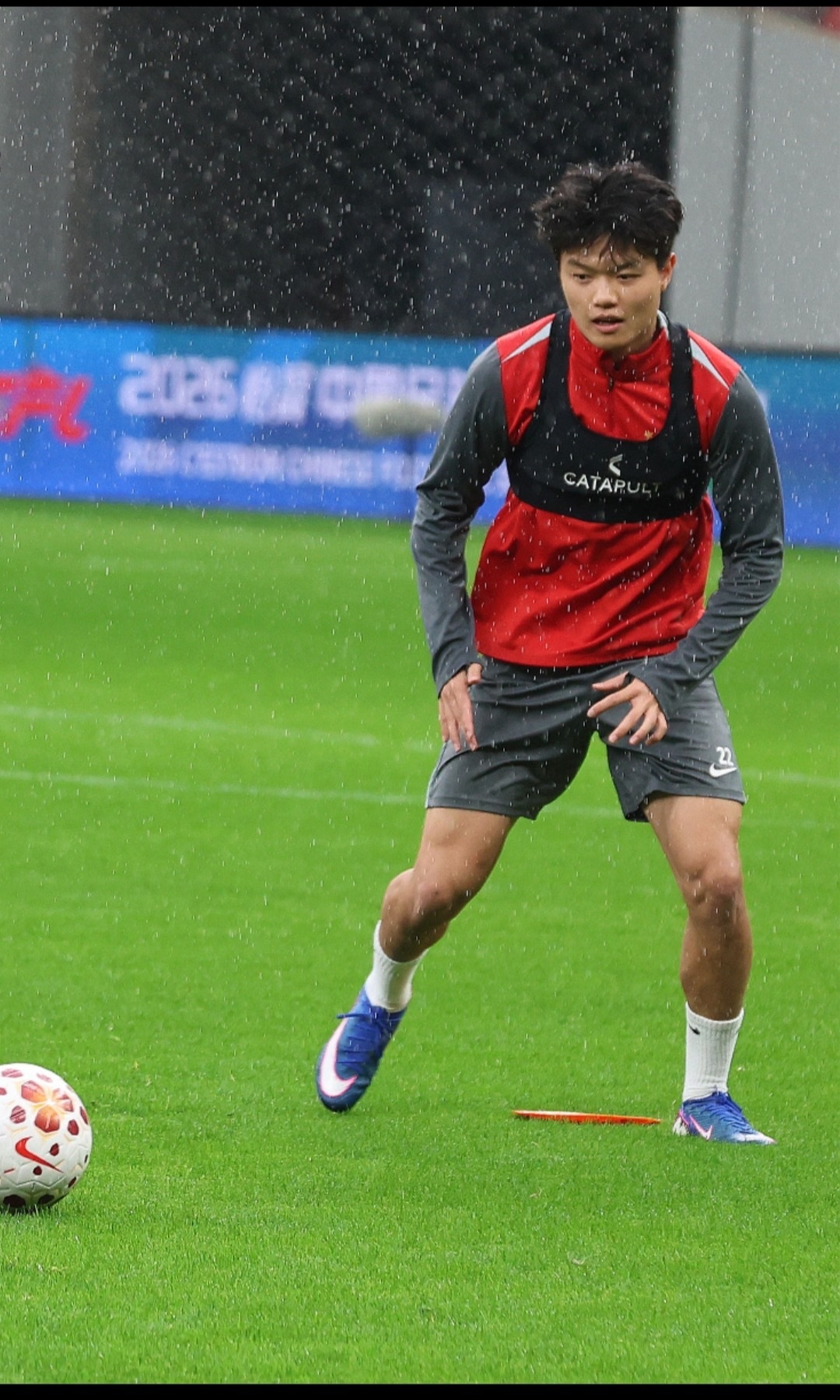 雨中小狗，这个小艾利克斯自从换了发型可爱度飙升，想rua一把头毛，感觉会是软软的