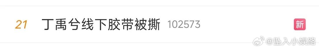 有人说丁禹兮买这种rs很没品 