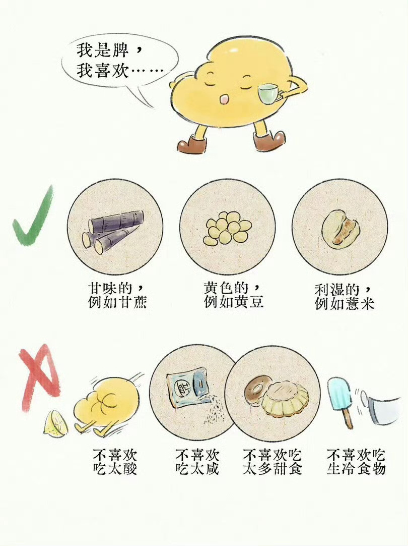 五脏上班时喜欢喝什么？ ​​​