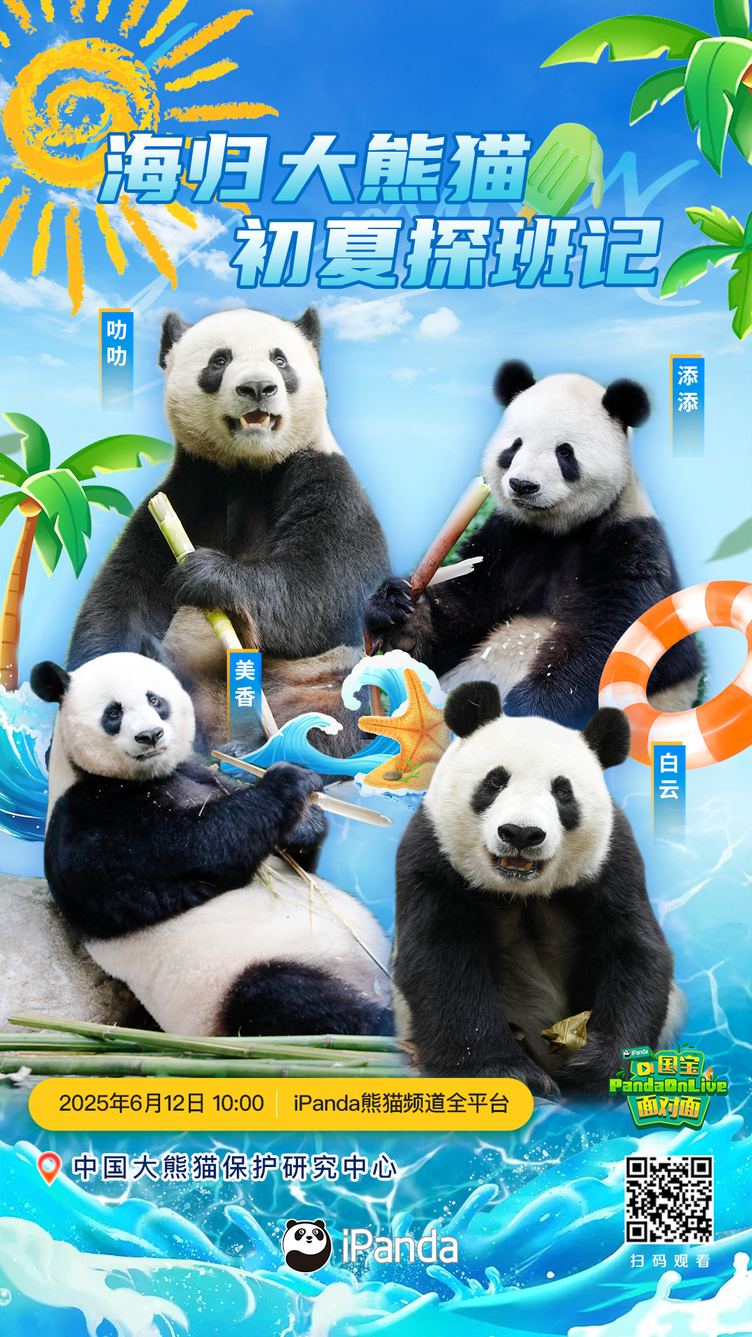 【播出预告：探秘海归大熊猫的初夏时光[赢牛奶]】在蝉鸣渐起的初夏，想寻一处治愈的