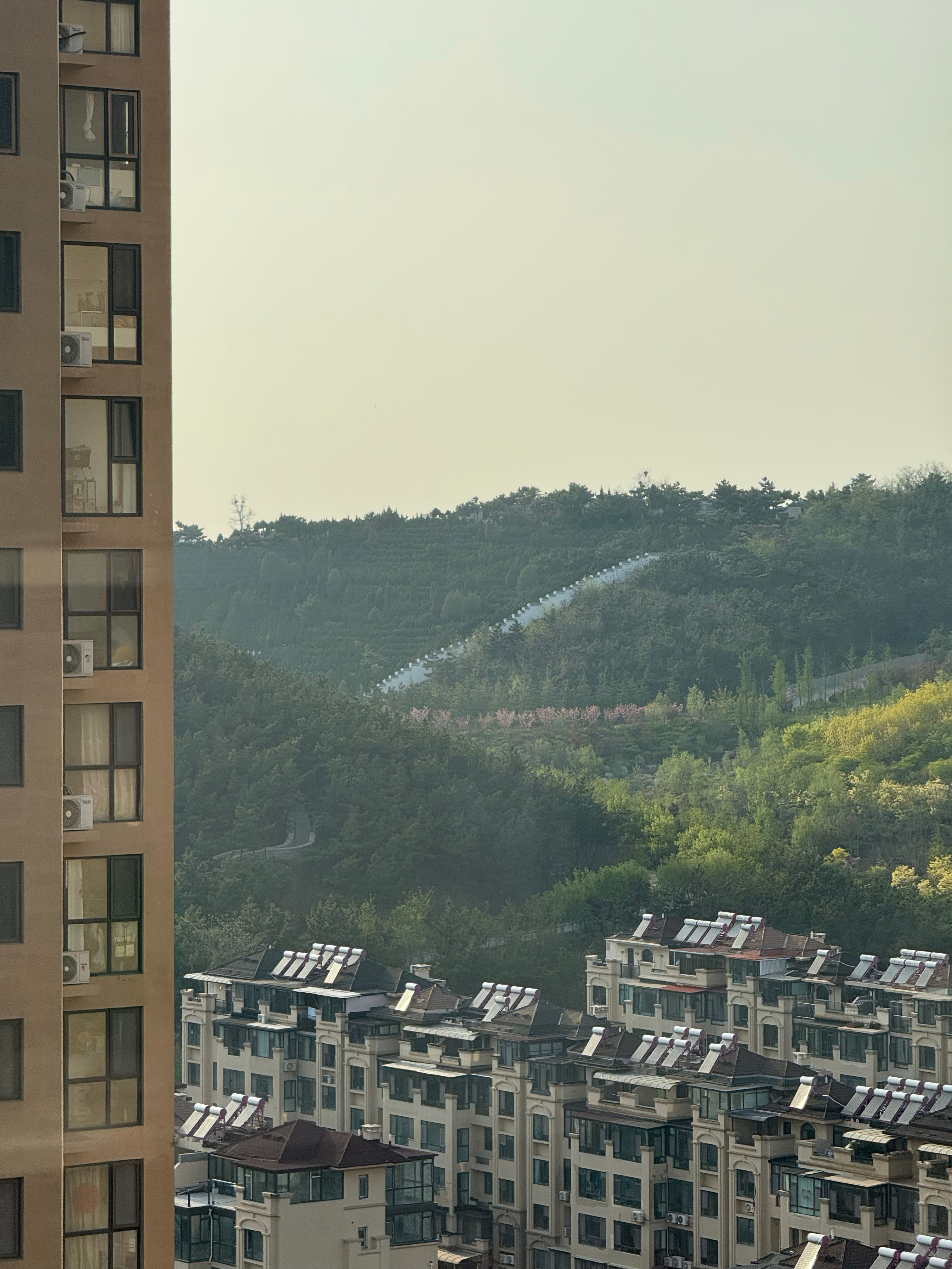 早啊，应该是下午好，一觉醒来太阳快落山了