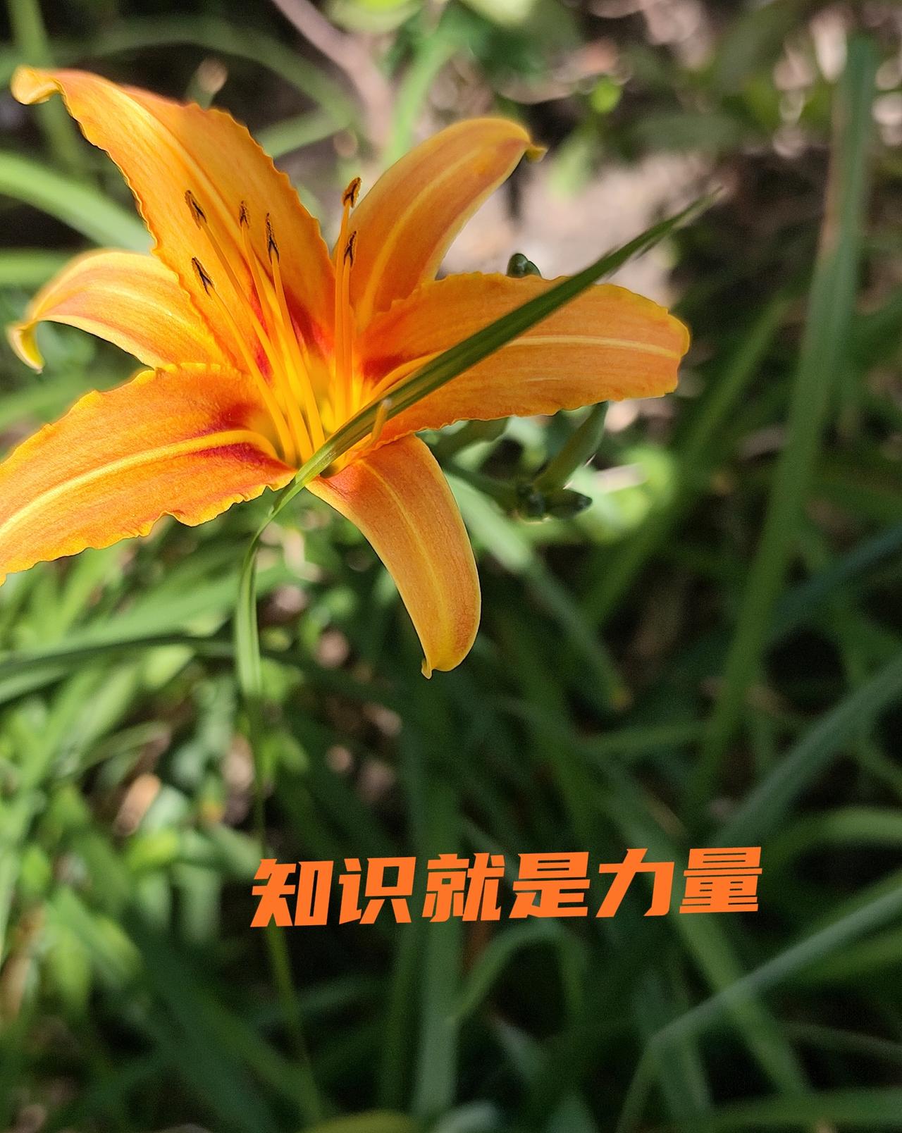 学到这3个理，我要告诉姐妹们——
【仅为个人健康心得分享，非医疗建议，每个人情况