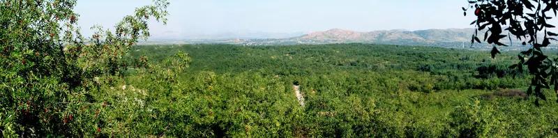 山东省诸城市昌城镇有一处实力非凡的食品基地。这里有山东果润食品股份有限公司，该公