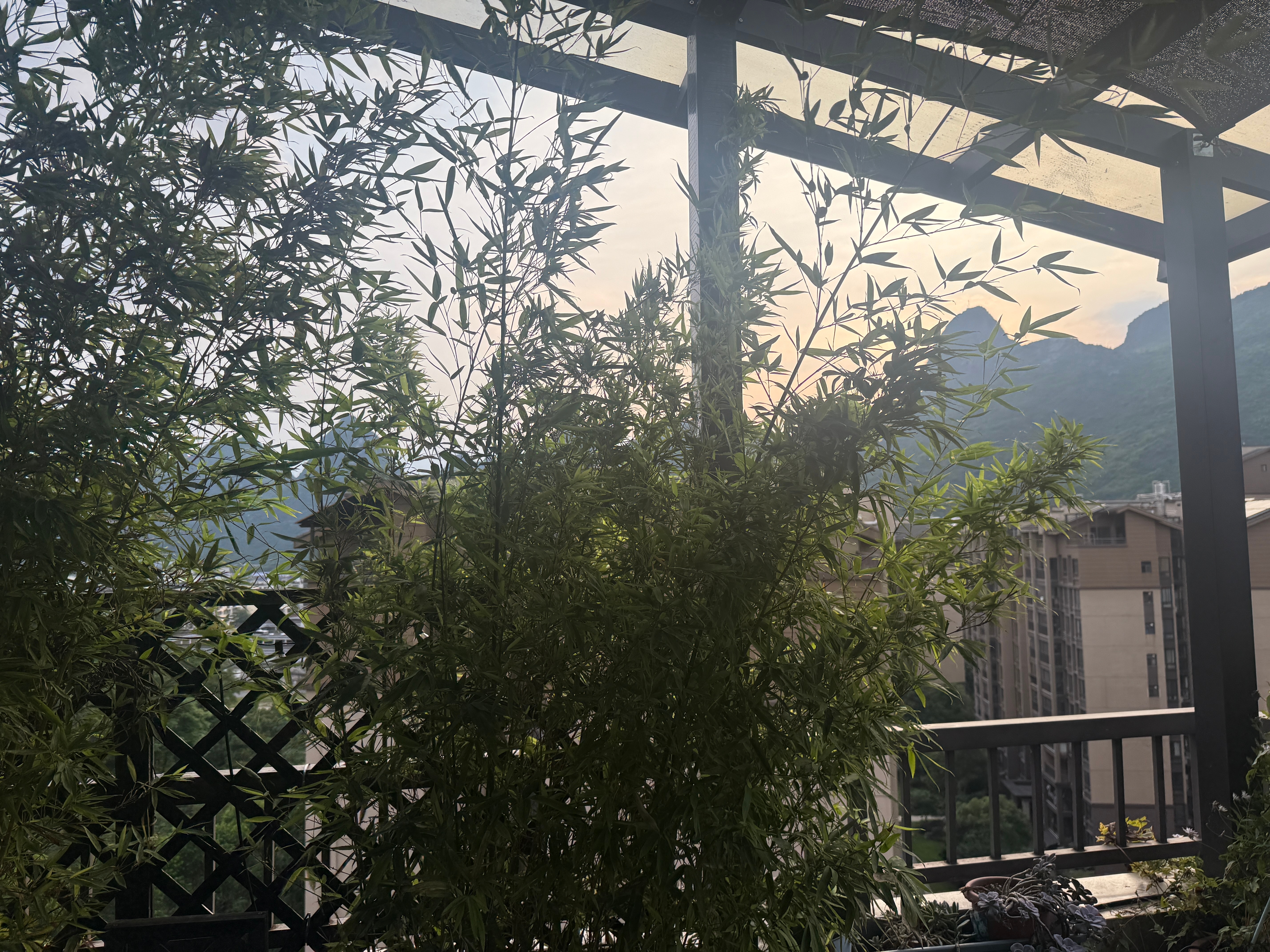 赏着美景 开吃！