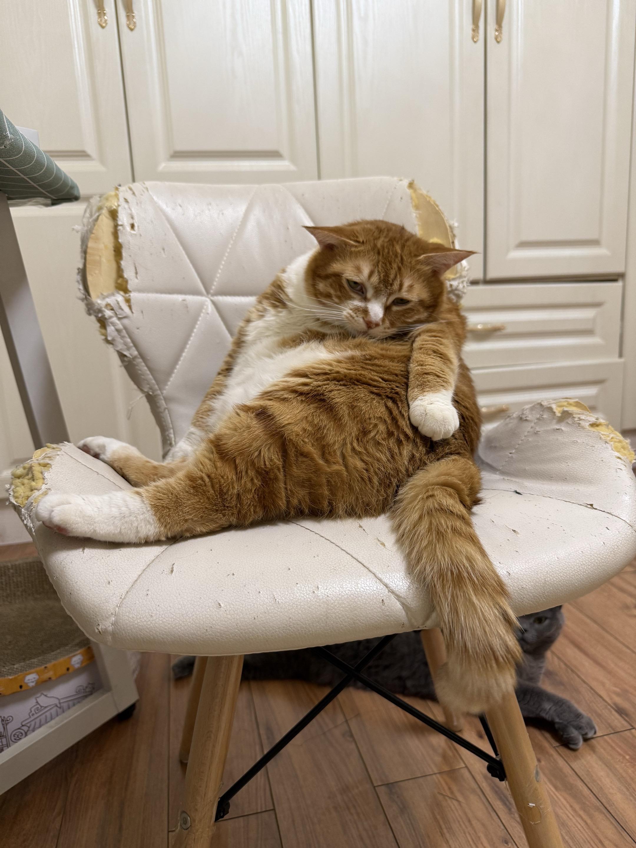 娇儿恶卧榻里裂~