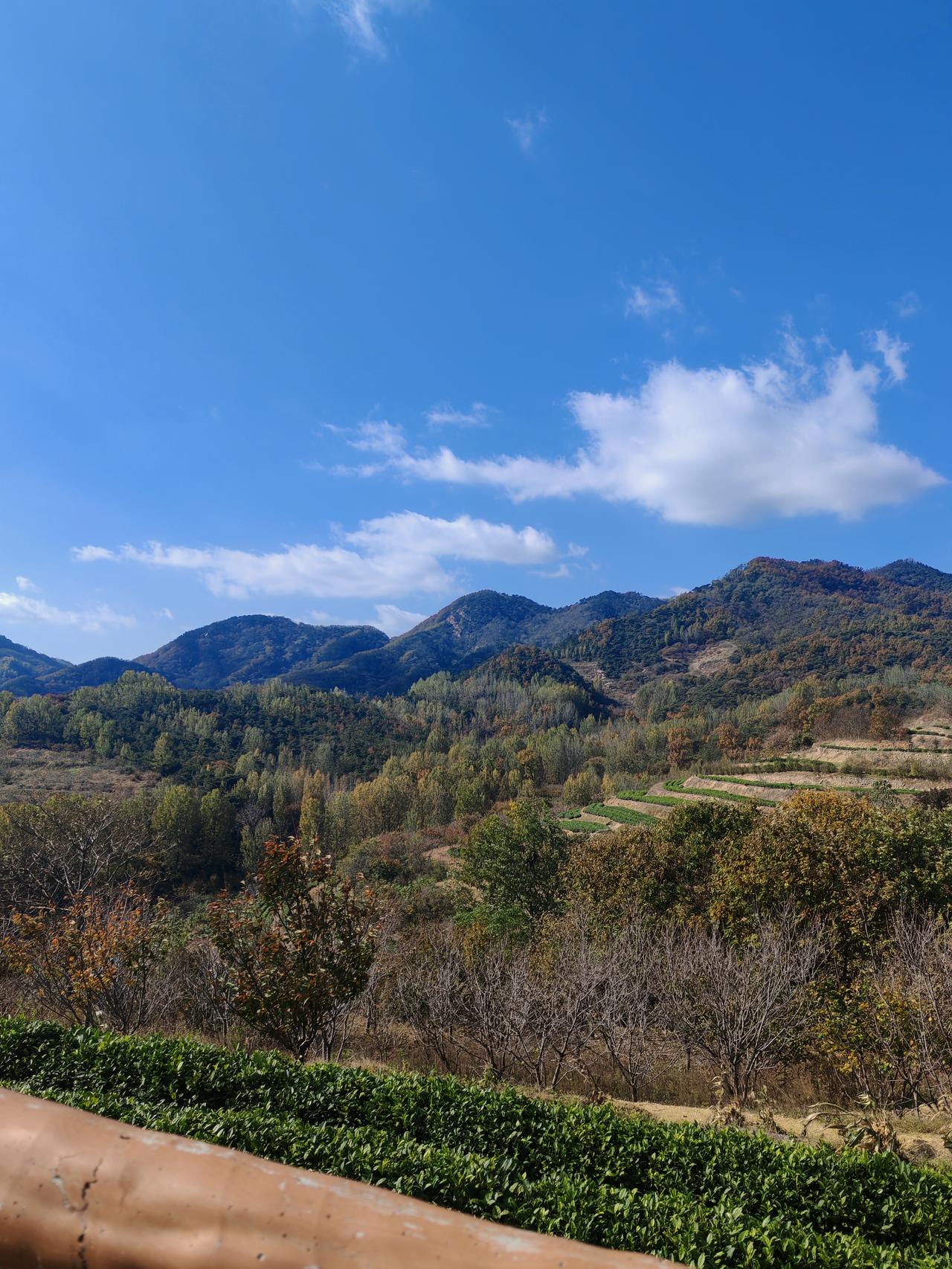 EO羿欧值不值得买