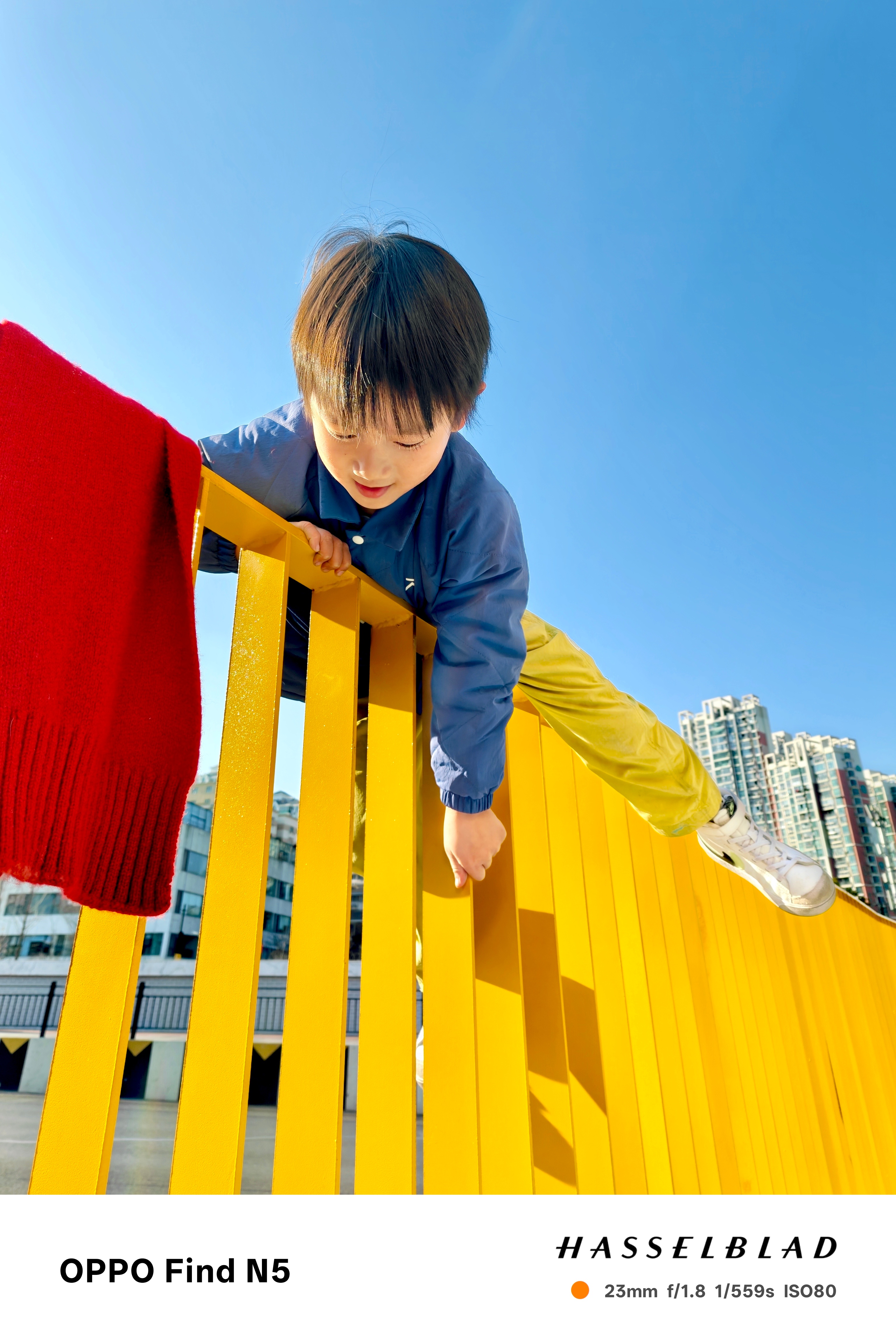 七七的【人类幼崽治愈瞬间】，我的【荒野求生实录】。站到我选好的位置来取景构图？不