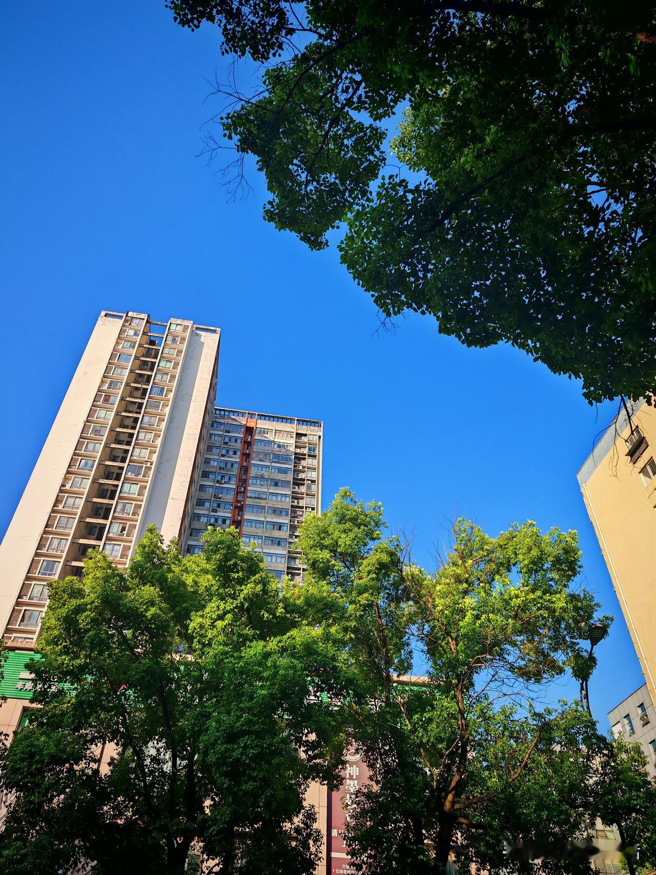 今天大暑，重庆又是热炸的一天，体感温度估计要冲44℃？根据预报，今天最高温41℃