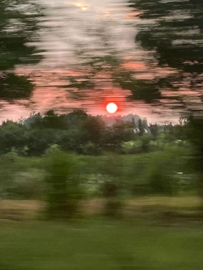 “自我”在很多人身上都沉默了。至于我呢，我情愿它永远不沉默，就是它给我带来什么苦