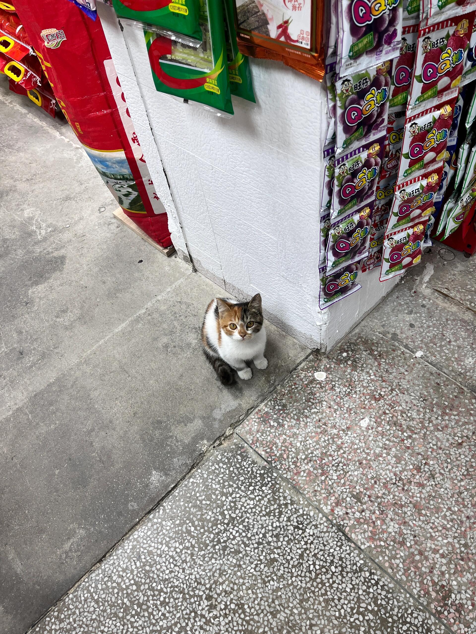 你好，老板，请给我一包小鱼干，原味的 ​​​