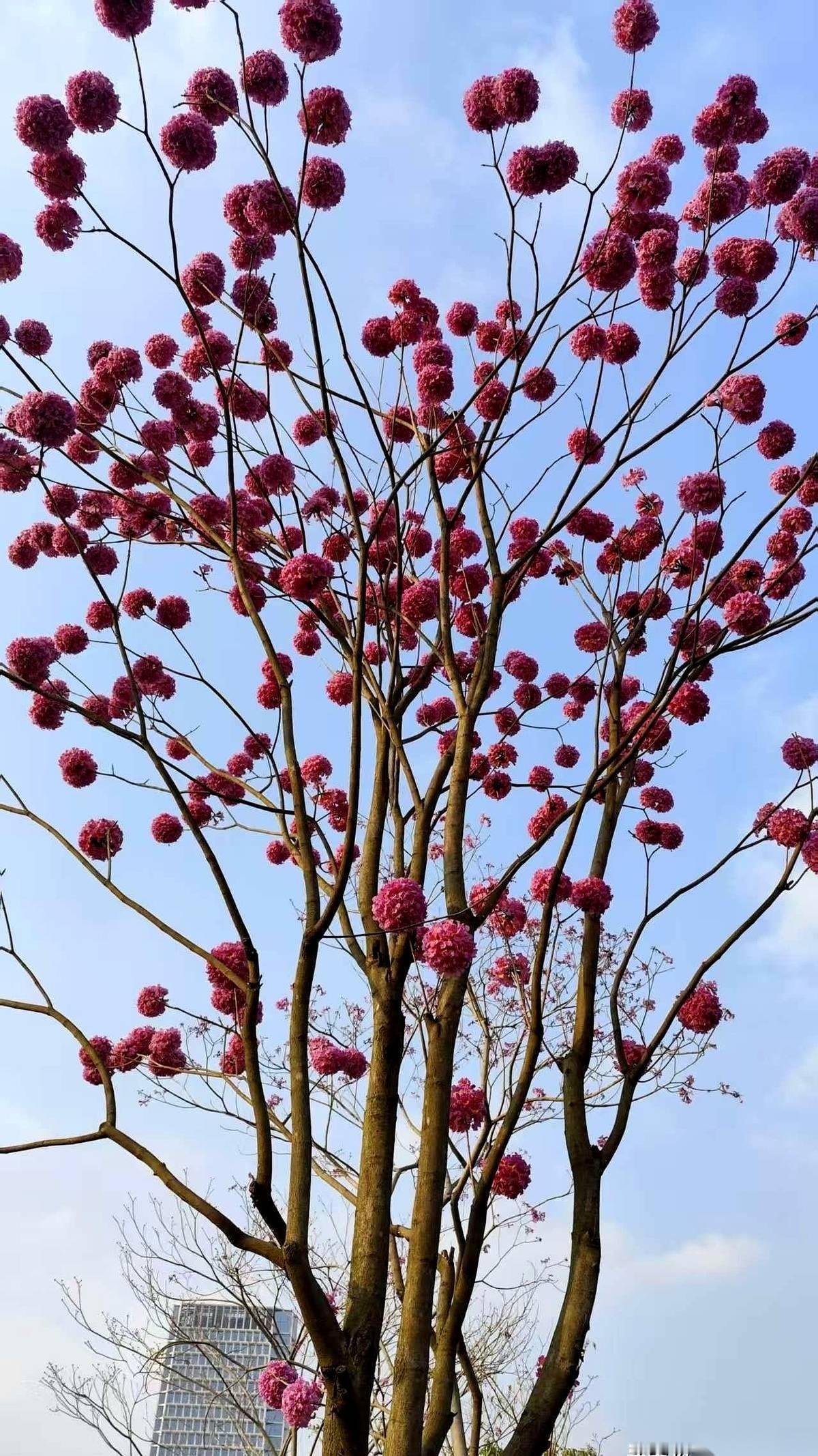 我跟你说个特逗的事儿。
现在我每天上班，10%的时间是真正在干活。
剩下90%呢