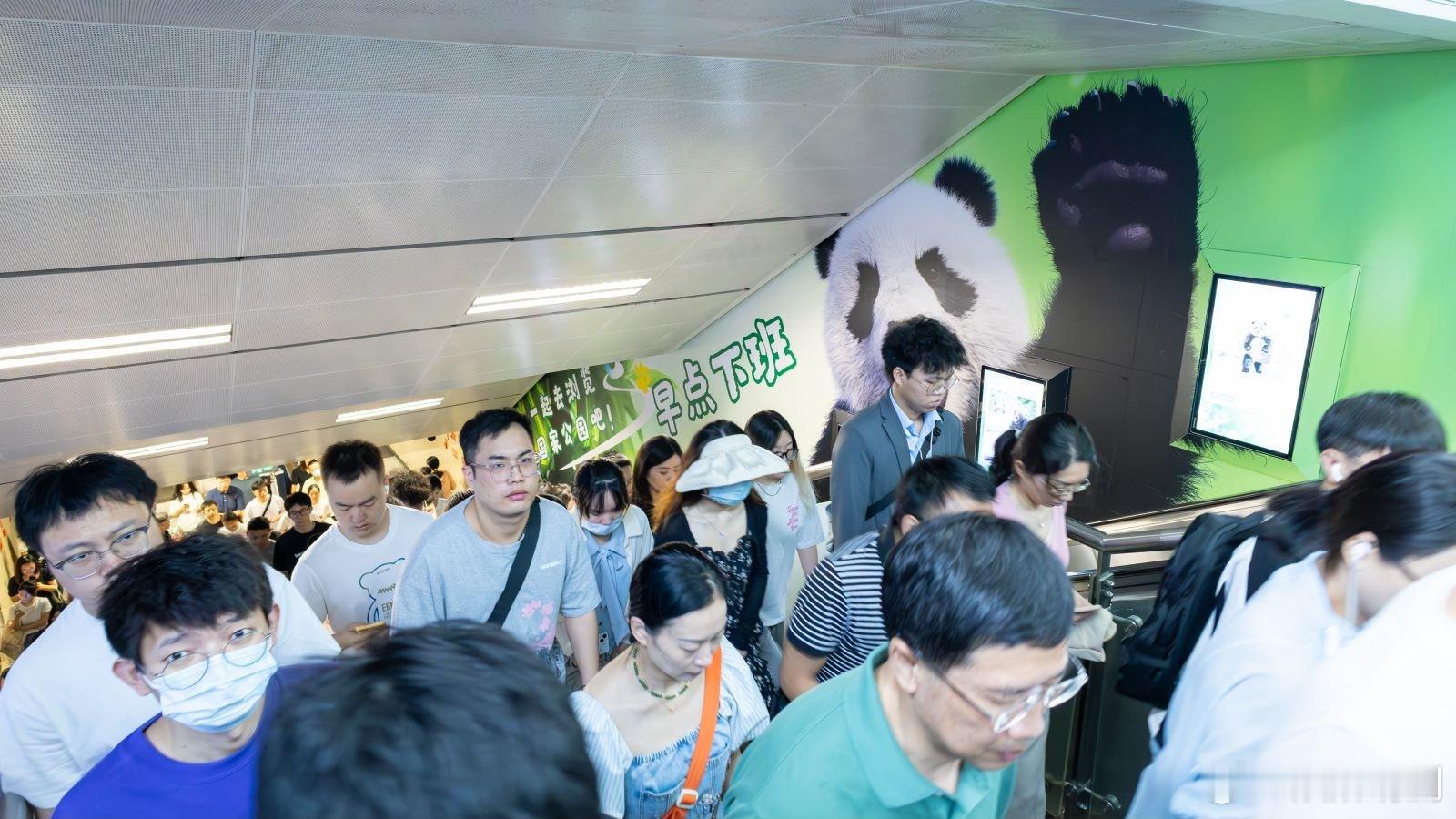 #成都地铁里有只熊猫演我上班#现在感觉有点像福宝，哈哈哈，而且我觉得如果我的上班