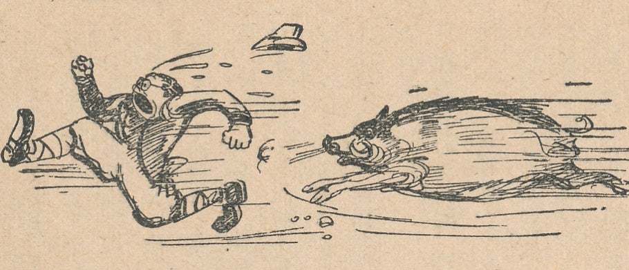 手負い猪（ておいじし） 受到捕猎伤害的野猪，因伤势而处于极度恐慌、愤怒的状态，极