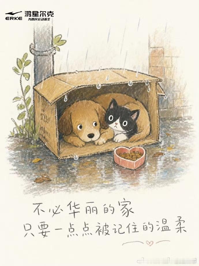 鸿星尔克店内收留流浪猫狗携手公益机构系统性救助流浪猫狗，覆盖物资捐赠、场地安置、