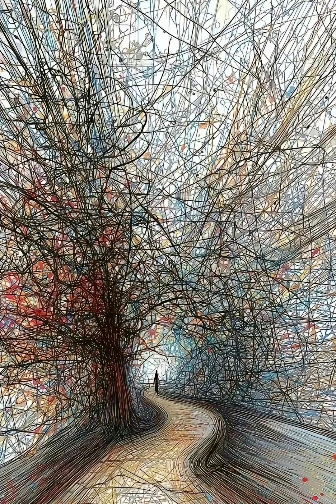 可以分享一张秋景树叶的的照片吗