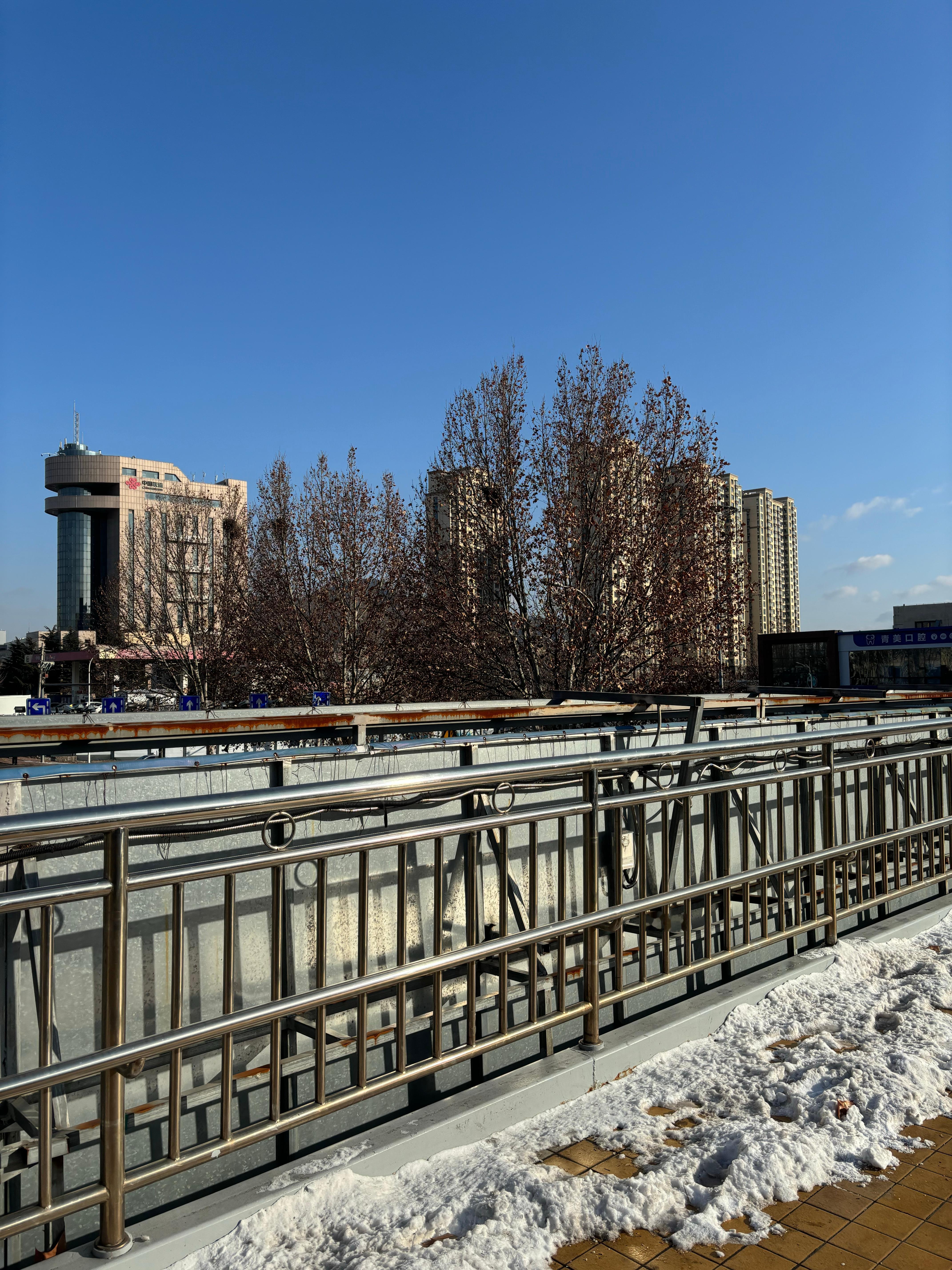 杭州下雪上海下雪、南京下雪、武汉下雪……每当各个地方开始下雪的时候，青岛就已经下