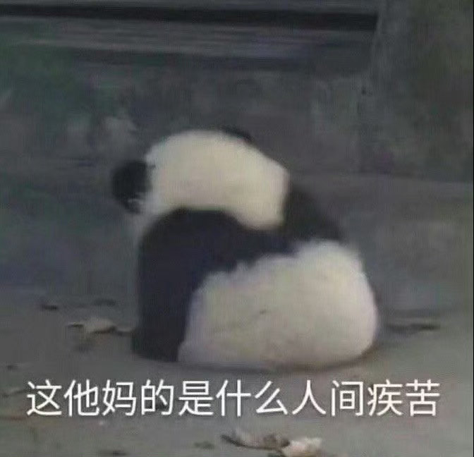终于到家了！ 