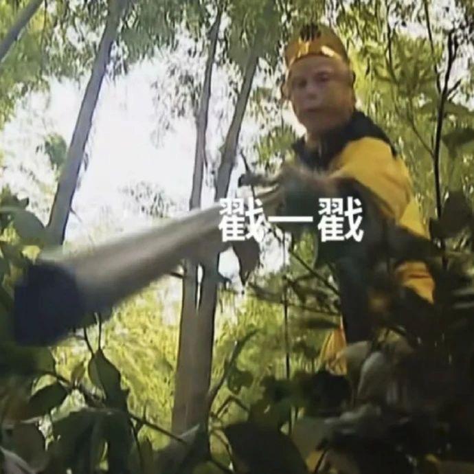 就是那种贱贱的表情包 ​​​