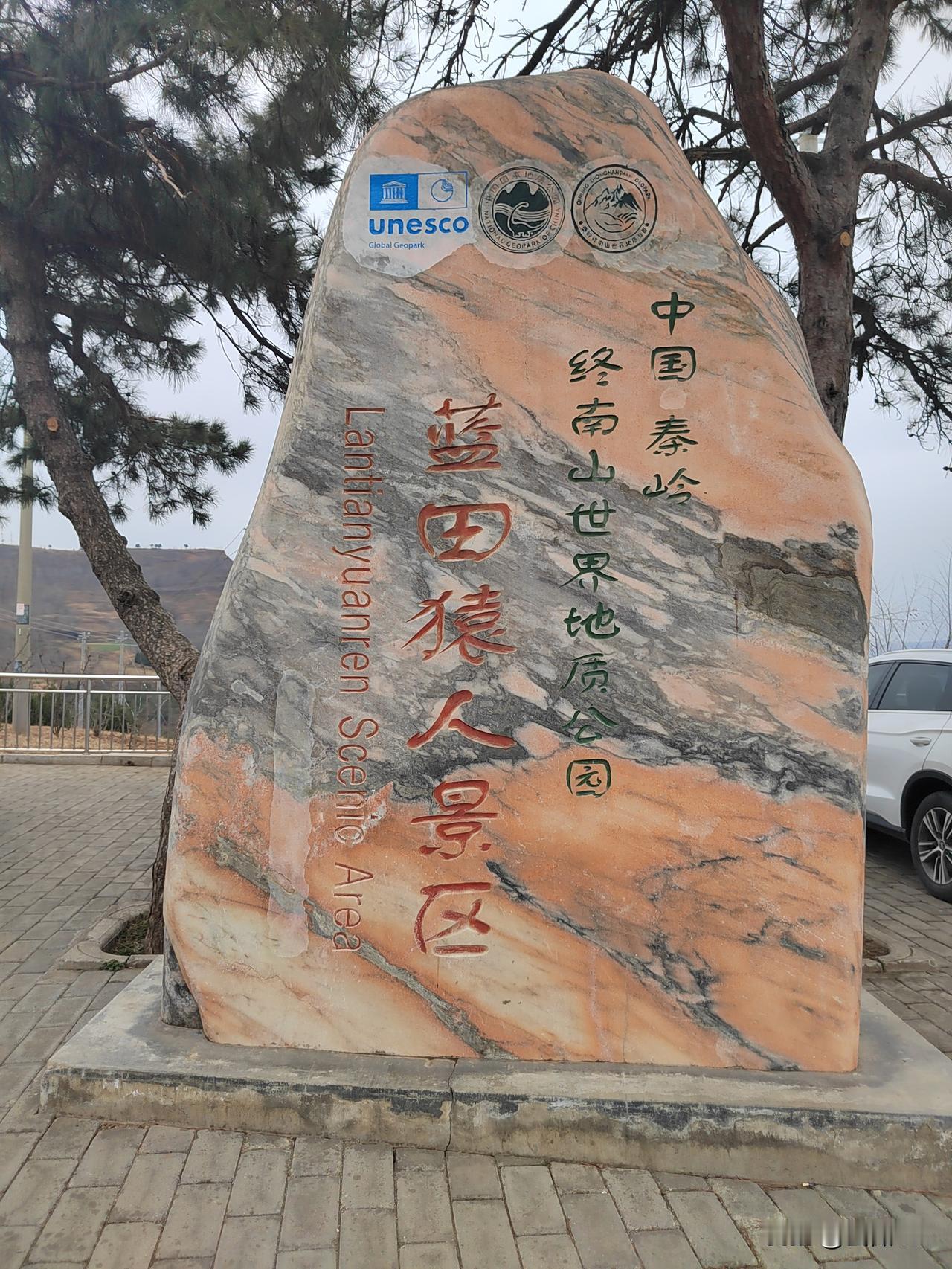 酸奶花
 
我只是想安静地喝一杯酸奶
指尖一滑
纯白的温柔便跌落在衣襟上
 没有