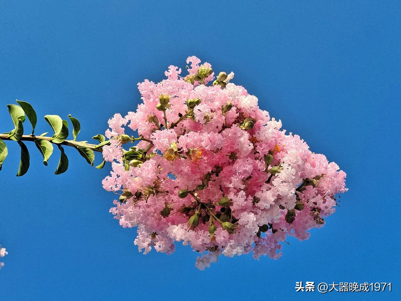 彩票预测要是靠谱的话，所谓的彩票“专家”他能给你说吗，你是他什么人？

彩票预测